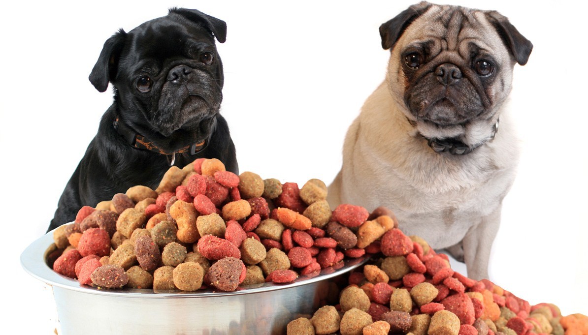 Dog Food
