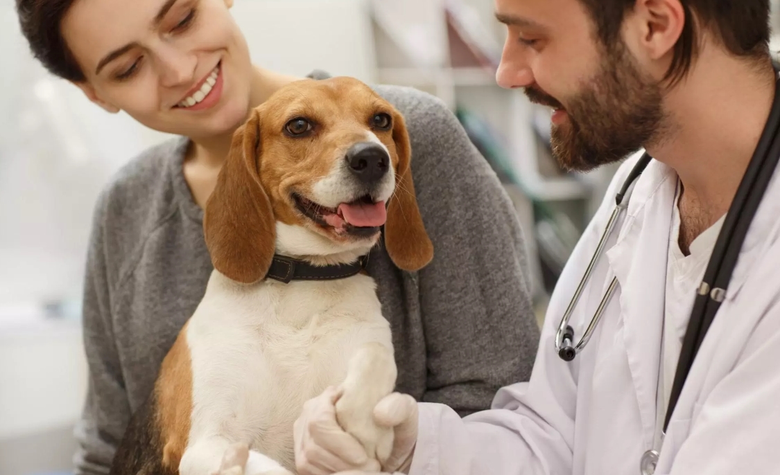 dogs basic needs